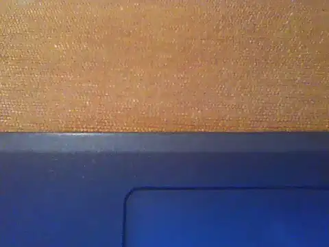 rarindam17 live sex cam