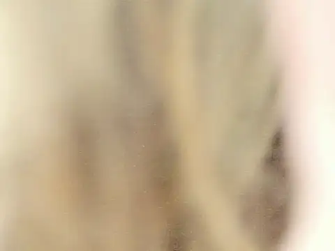 Hina2212's cam snapshot