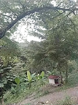 esmeralda_li live sex cam