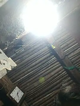 Horny-Rashi's cam snapshot