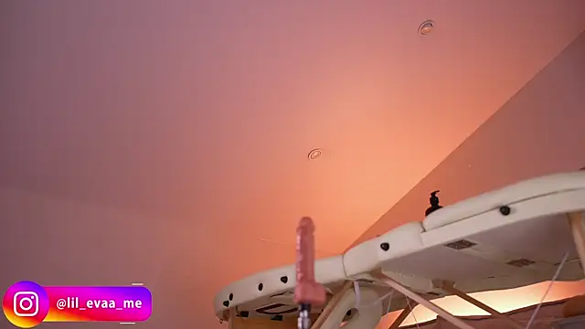 Lilevame's cam snapshot