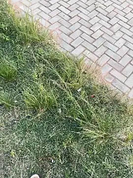 Black-mamba-madingo's cam snapshot