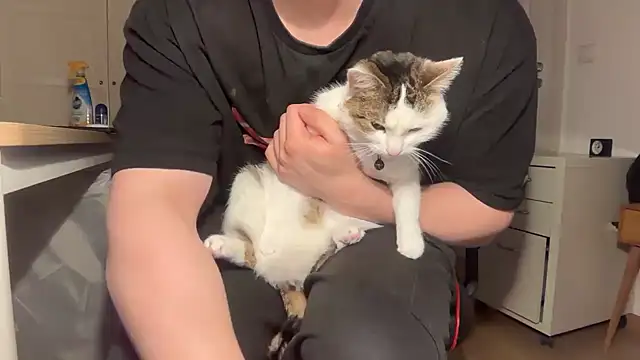 jungcock3210 live sex cam