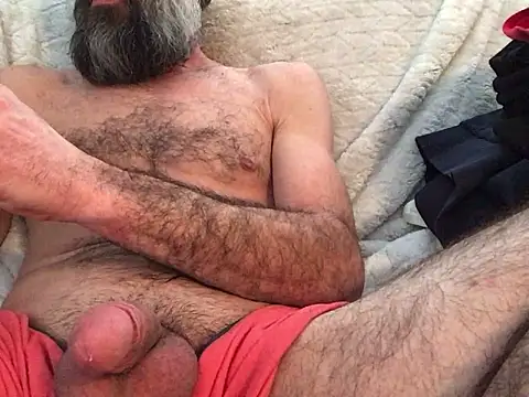 ch31285 live sex cam