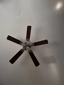 ThicBunz live sex cam