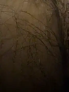 mikeylong live sex cam