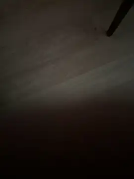 habbockwiesau live sex cam