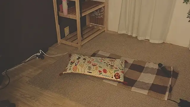 laracroftmansion's cam snapshot