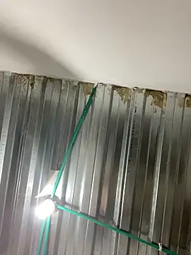 CelesteJones1's cam snapshot