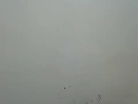 Rasta_tattooed live sex cam