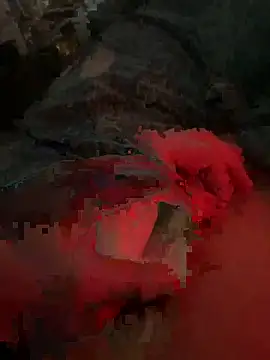 habbockwiesau live sex cam