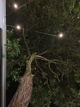 alicia-petite's cam snapshot