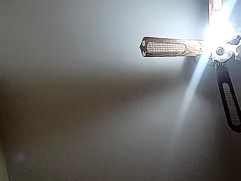 vasgabri live sex cam