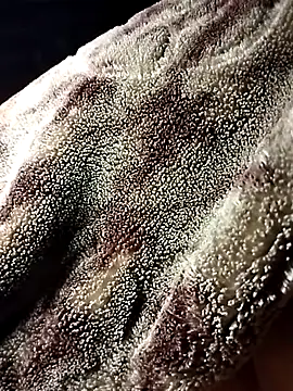 -sansan-'s cam snapshot