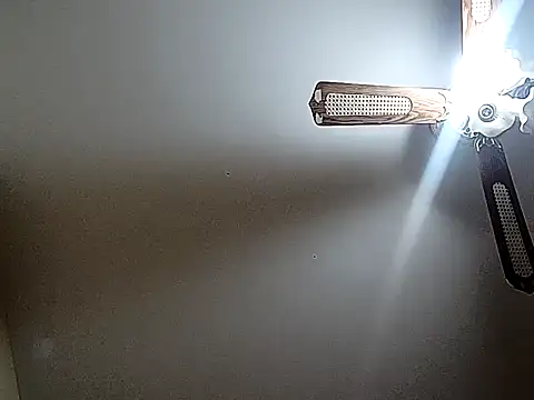 vasgabri live sex cam