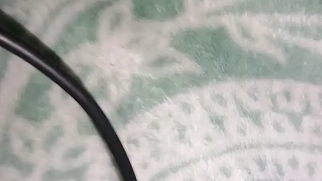 LordSpunFun live sex cam