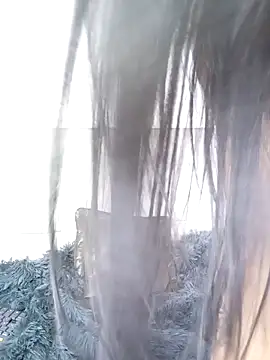 Taylor__Swiftt's cam snapshot