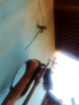 Bhavna8080's cam snapshot