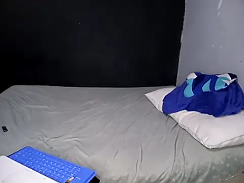 Wengavi's cam snapshot