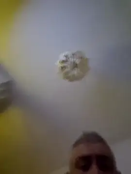 cuci45's cam snapshot