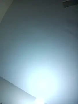 Softecho-03's cam snapshot