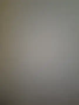 Misuszatek's cam snapshot