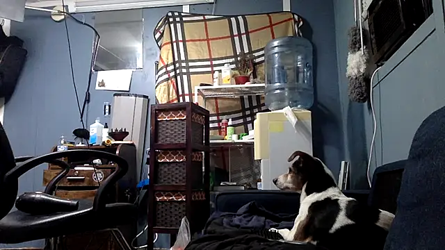 sexyhotstud12's cam snapshot