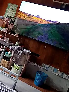 WholeAltimeter25 live sex cam