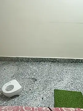 Shanu_Shah live sex cam