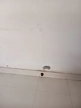 Sarita-school's cam snapshot