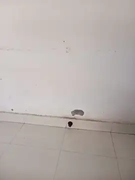 Sarita-school's cam snapshot