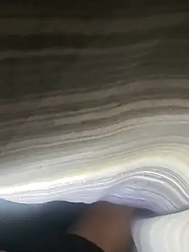 Zajdape's cam snapshot