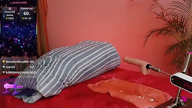 Breidyhard's cam snapshot