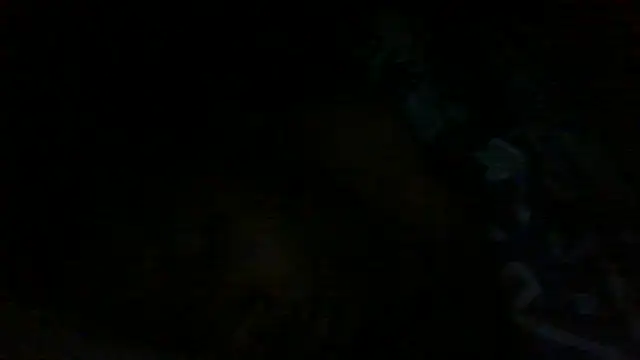 Lmkulike live sex cam