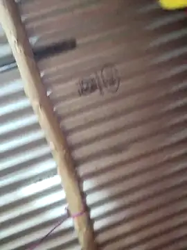 Sexy-sheela's cam snapshot