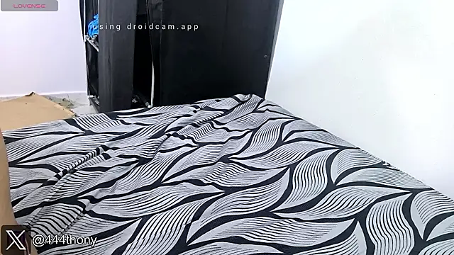 Thony444 live sex cam