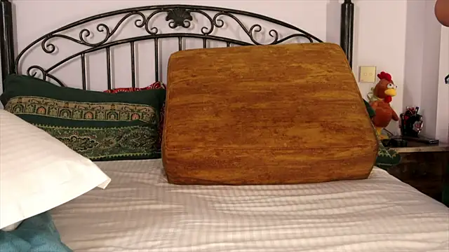 einneuesleben live sex cam