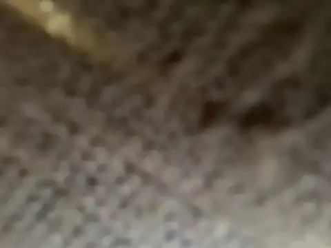 Mia_forger69 live sex cam