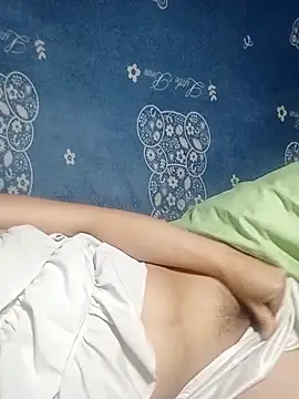 Noelle-e's cam snapshot