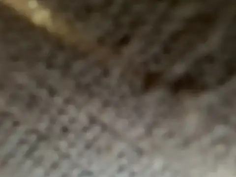 Mia_forger69 live sex cam