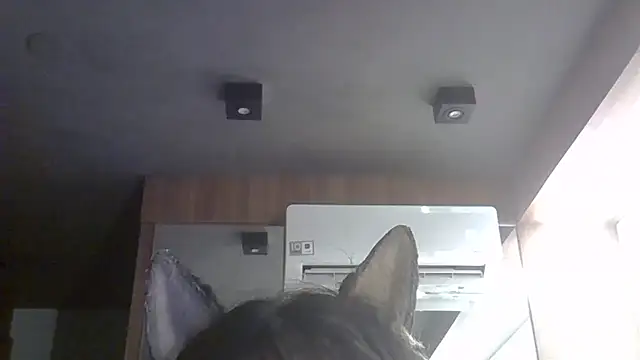 SkinnyKitten live sex cam