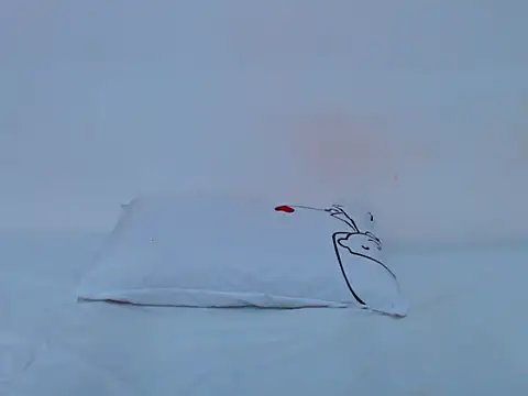 HONEYxPOT's cam snapshot