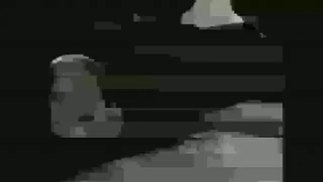 palakmishra033's cam snapshot