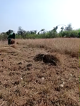 Sexy_couple2511's cam snapshot