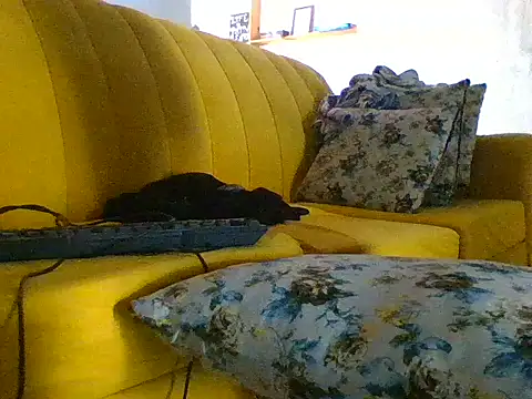 sherry_anne live sex cam