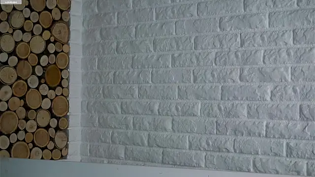 LowOncoming's cam snapshot