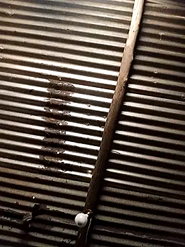 paptsimo live sex cam