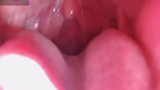 LT-333's cam snapshot