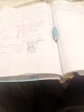 hotboy43339's cam snapshot