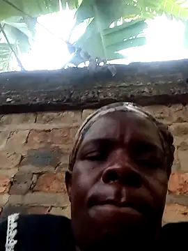 stable_23's cam snapshot